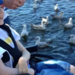 Nathan Large wheelchair