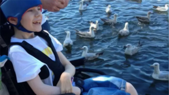 Nathan Large wheelchair